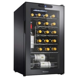 Wine Enthusiast 24-Bottle Compressor Wine Cooler with Upright Bottle Storage - Freestanding Wine Refrigerator with Digital Touchscreen and LED Temperature Display