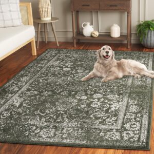 SAFAVIEH Adirondack Collection Area Rug - 9' x 12', Dark Green & Ivory, Transitional Design, Stain Resistant, Ideal for High Traffic Areas in Living Room, Bedroom & Dining Room (ADR109Y-9)